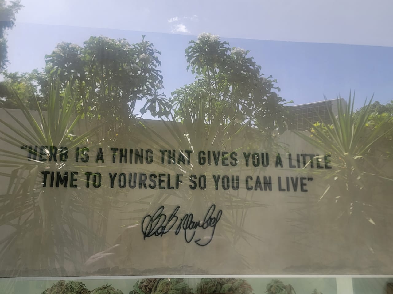 Bob Marley quotation displayed in a garden